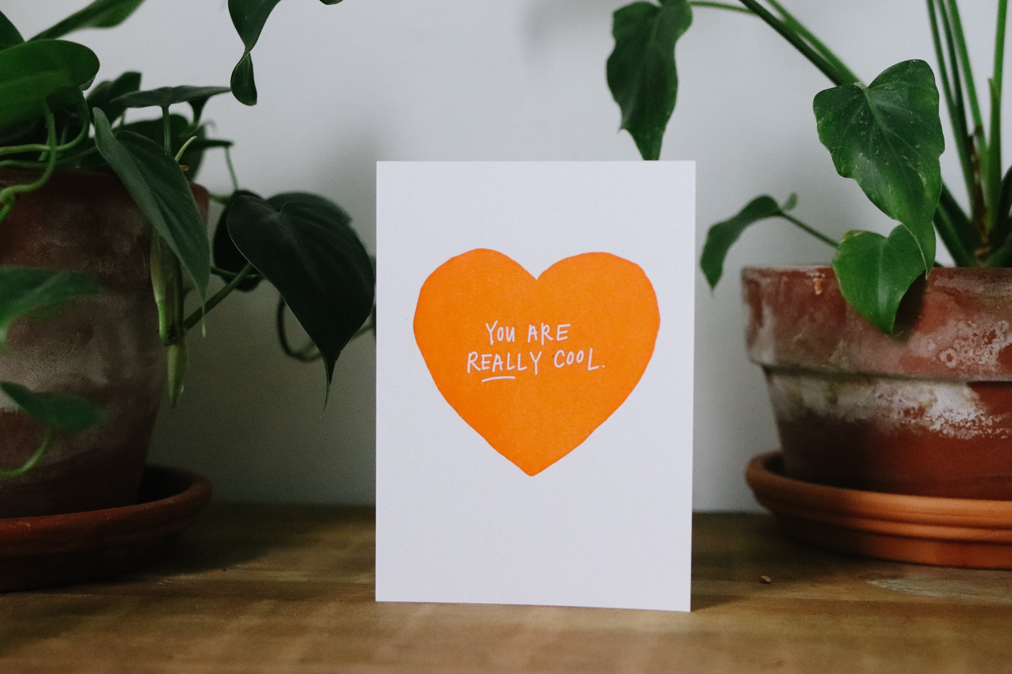 Letterpress Card | You are really cool