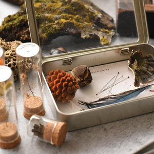 Specimen Collecting Kit | June & December