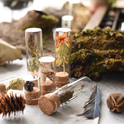 Specimen Collecting Kit | June & December